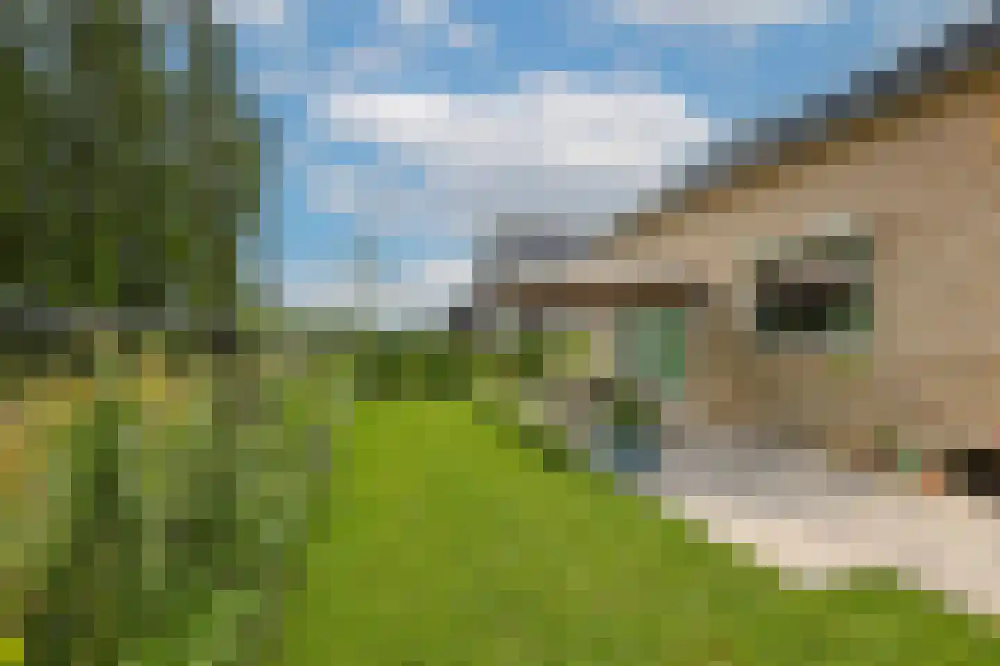 Zilverhof 11 Veldhoven thumbnail 40