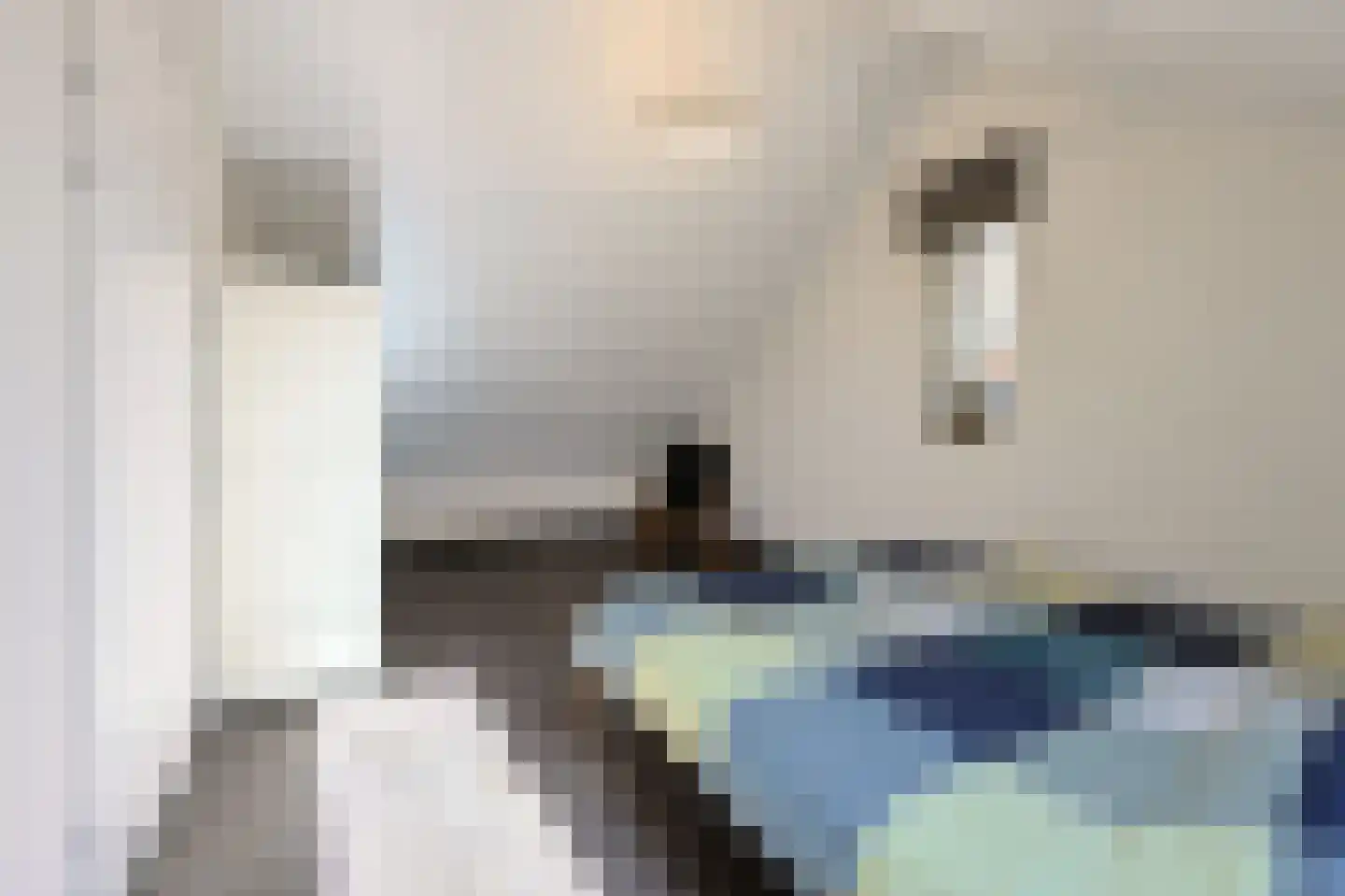 Zilverhof 11 Veldhoven thumbnail 51