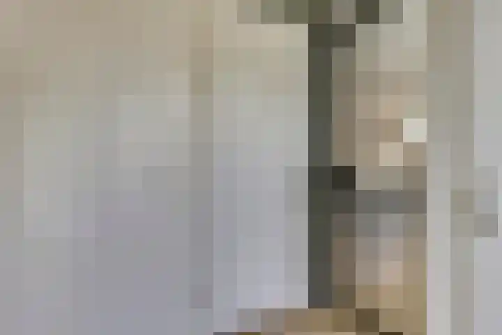 Zilverhof 23 Veldhoven thumbnail 18