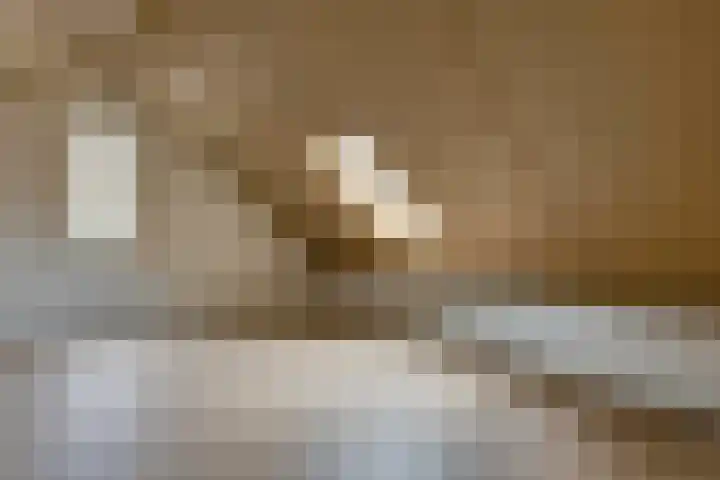 Zilverhof 23 Veldhoven thumbnail 20