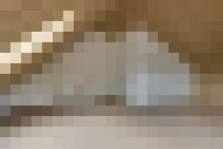Zilverhof 23 Veldhoven thumbnail 22