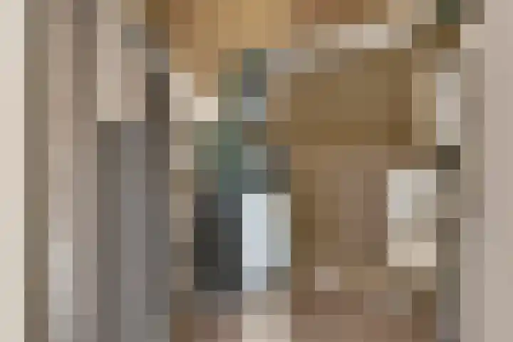 Zilverhof 23 Veldhoven thumbnail 24