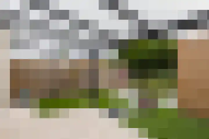 Zilverhof 23 Veldhoven thumbnail 25