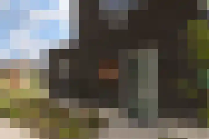 Zilverhof 23 Veldhoven thumbnail 32