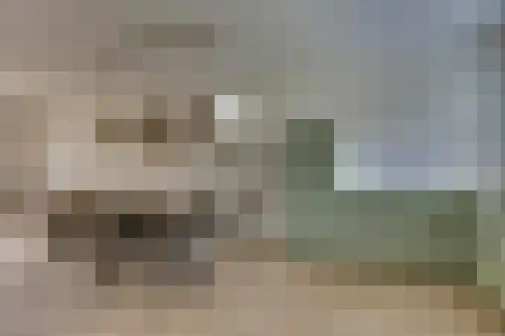 Zilverhof 23 Veldhoven thumbnail 4