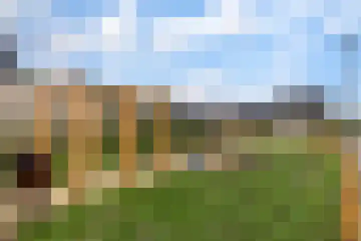 Zilverhof 23 Veldhoven thumbnail 45