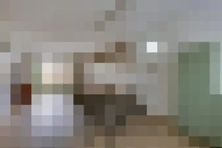 Zilverhof 23 Veldhoven thumbnail 9