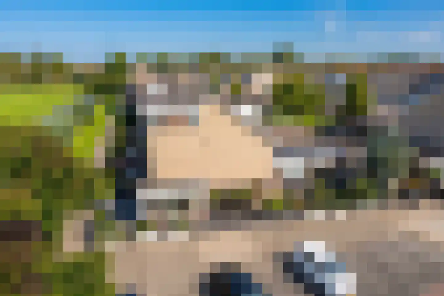 Zilverijzer 22 Volendam thumbnail 10