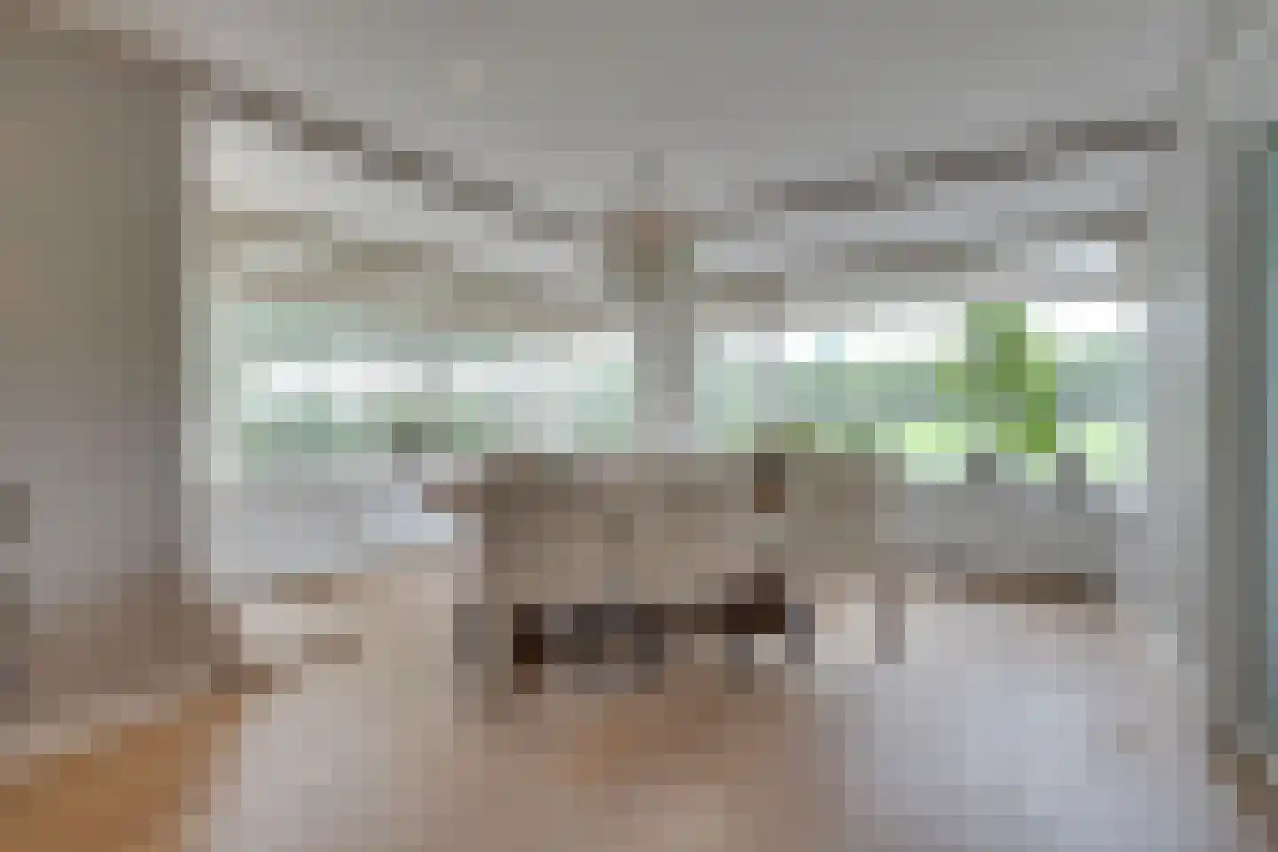 Zilverijzer 22 Volendam thumbnail 14