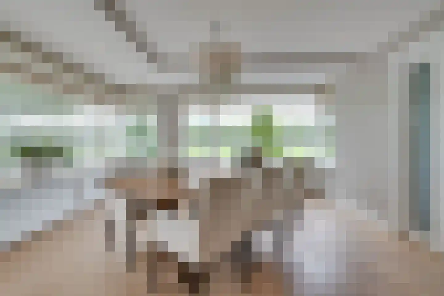 Zilverijzer 22 Volendam thumbnail 15