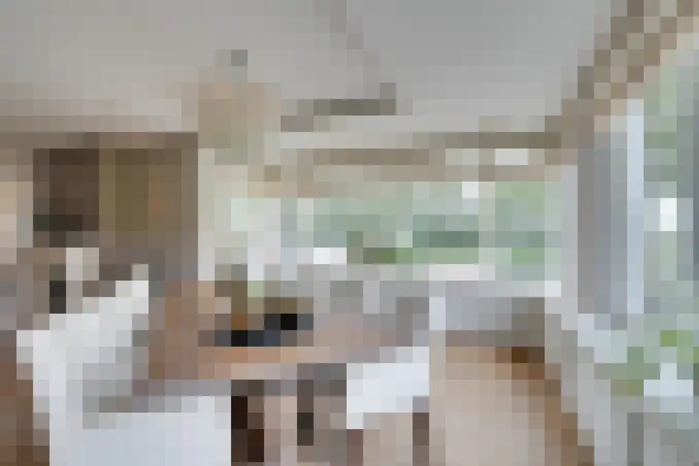 Zilverijzer 22 Volendam thumbnail 18