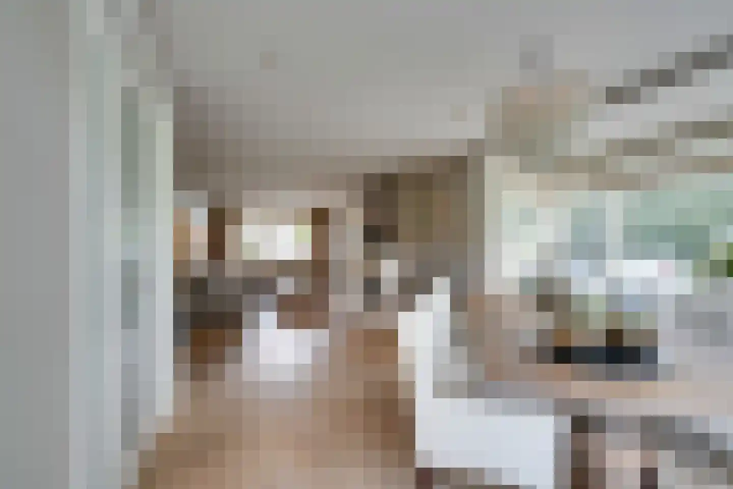 Zilverijzer 22 Volendam thumbnail 19