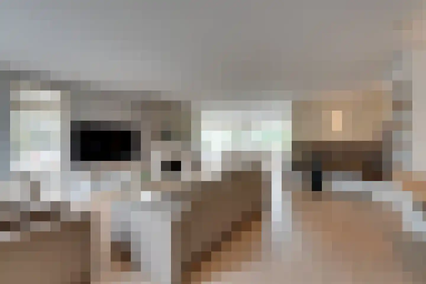 Zilverijzer 22 Volendam thumbnail 26