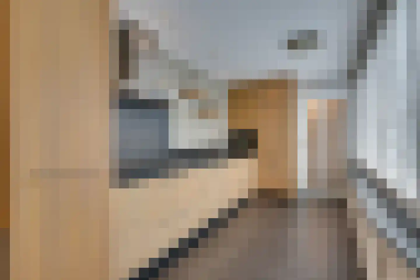 Zilverijzer 22 Volendam thumbnail 29