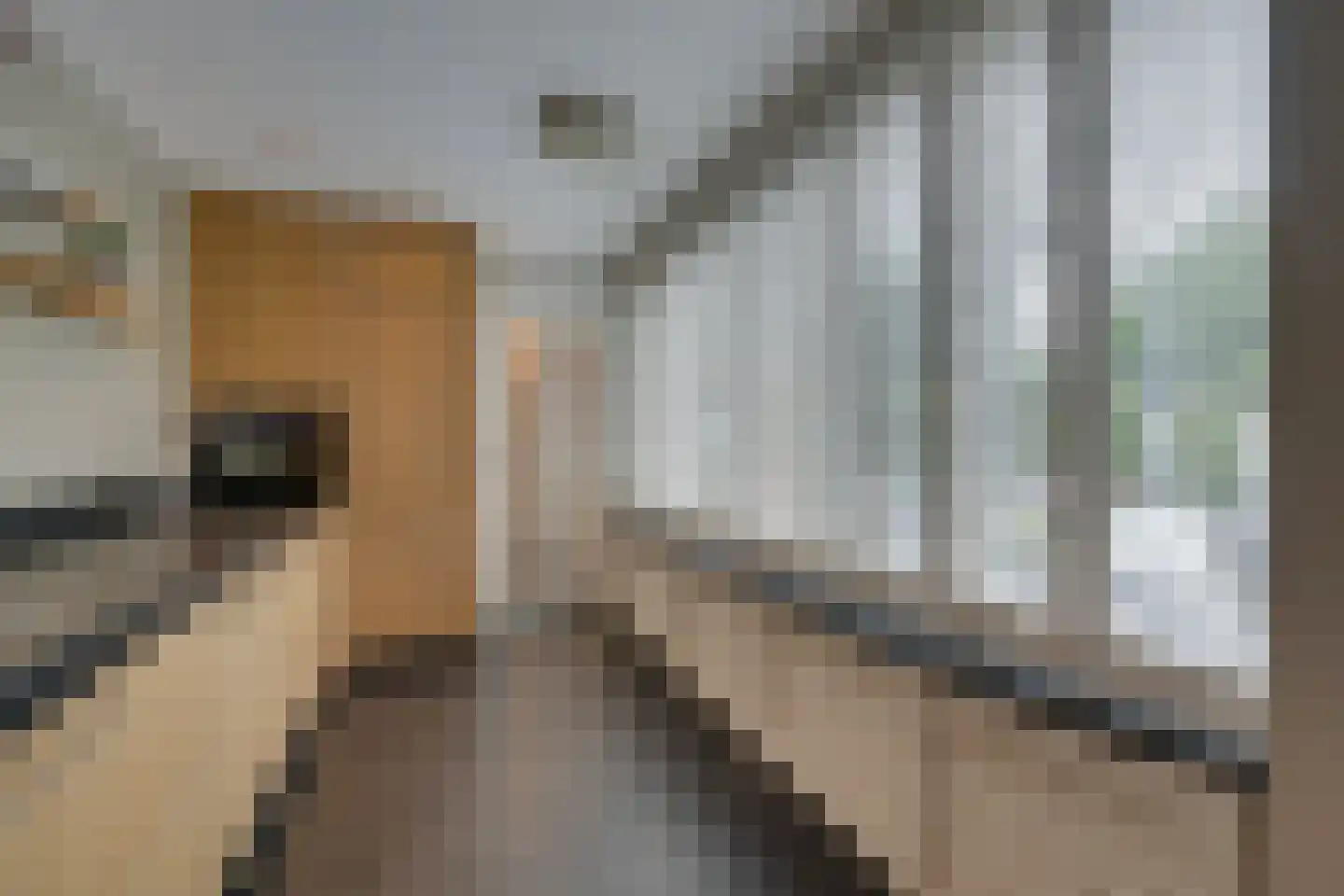 Zilverijzer 22 Volendam thumbnail 30