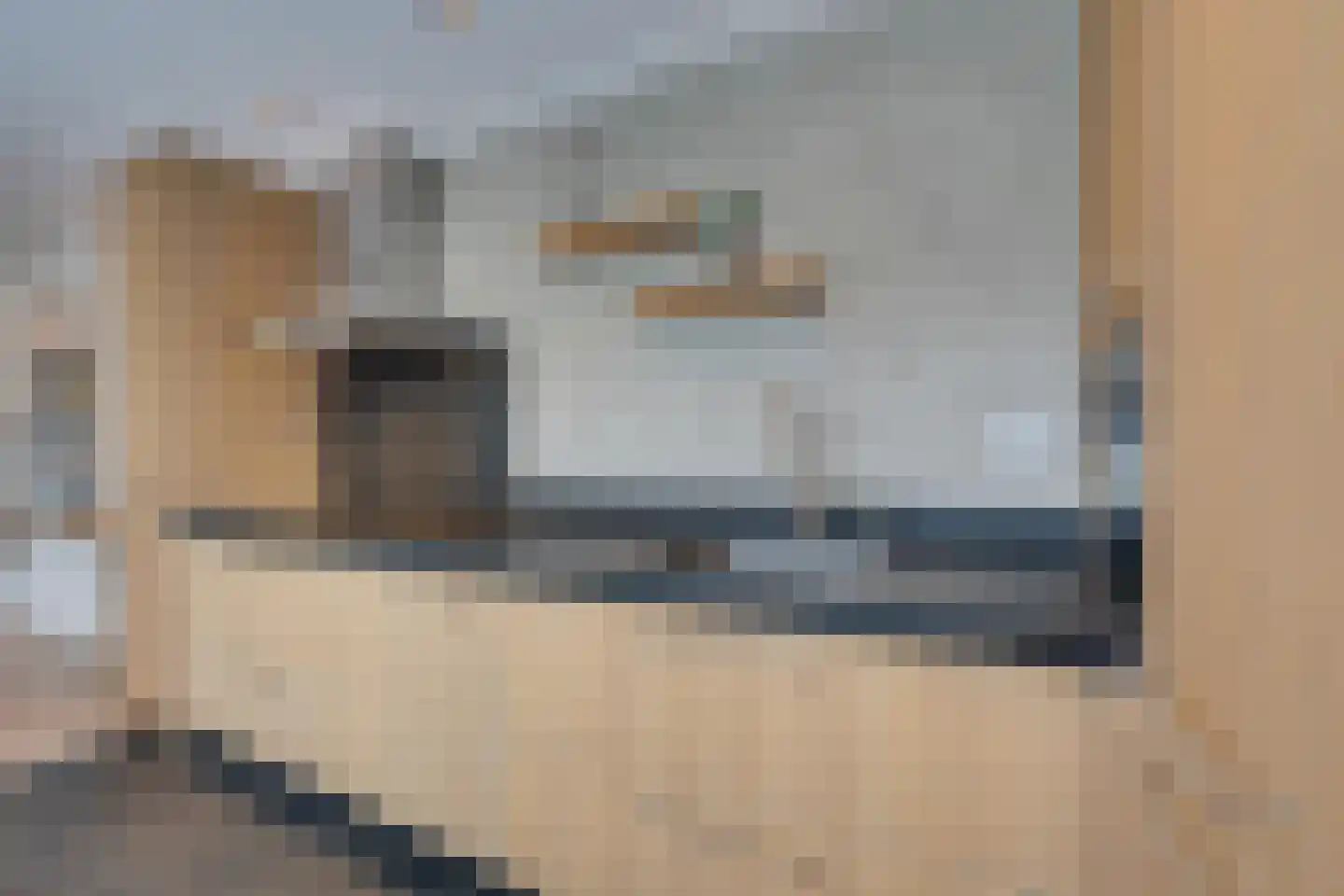 Zilverijzer 22 Volendam thumbnail 31