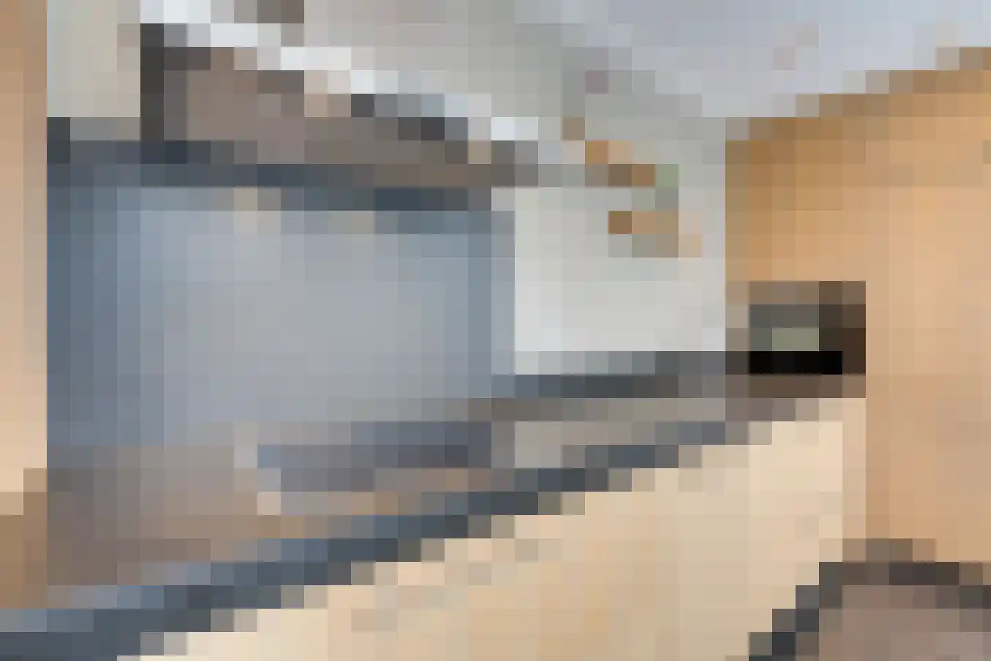 Zilverijzer 22 Volendam thumbnail 33