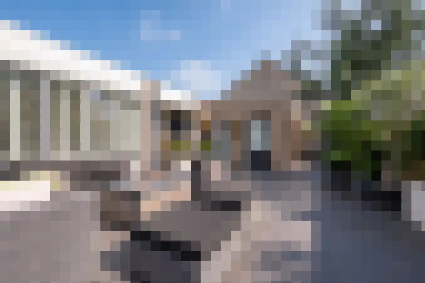 Zilverijzer 22 Volendam thumbnail 38