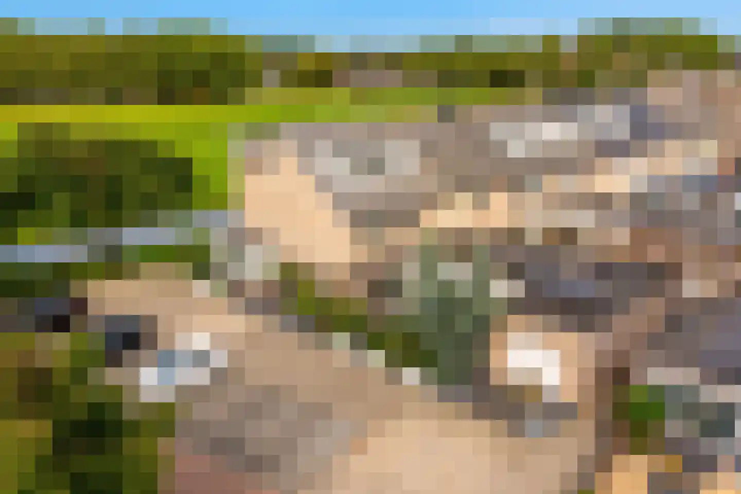 Zilverijzer 22 Volendam thumbnail 9