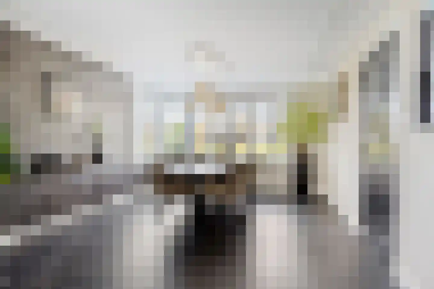 Zilverijzer 6 Volendam thumbnail 10