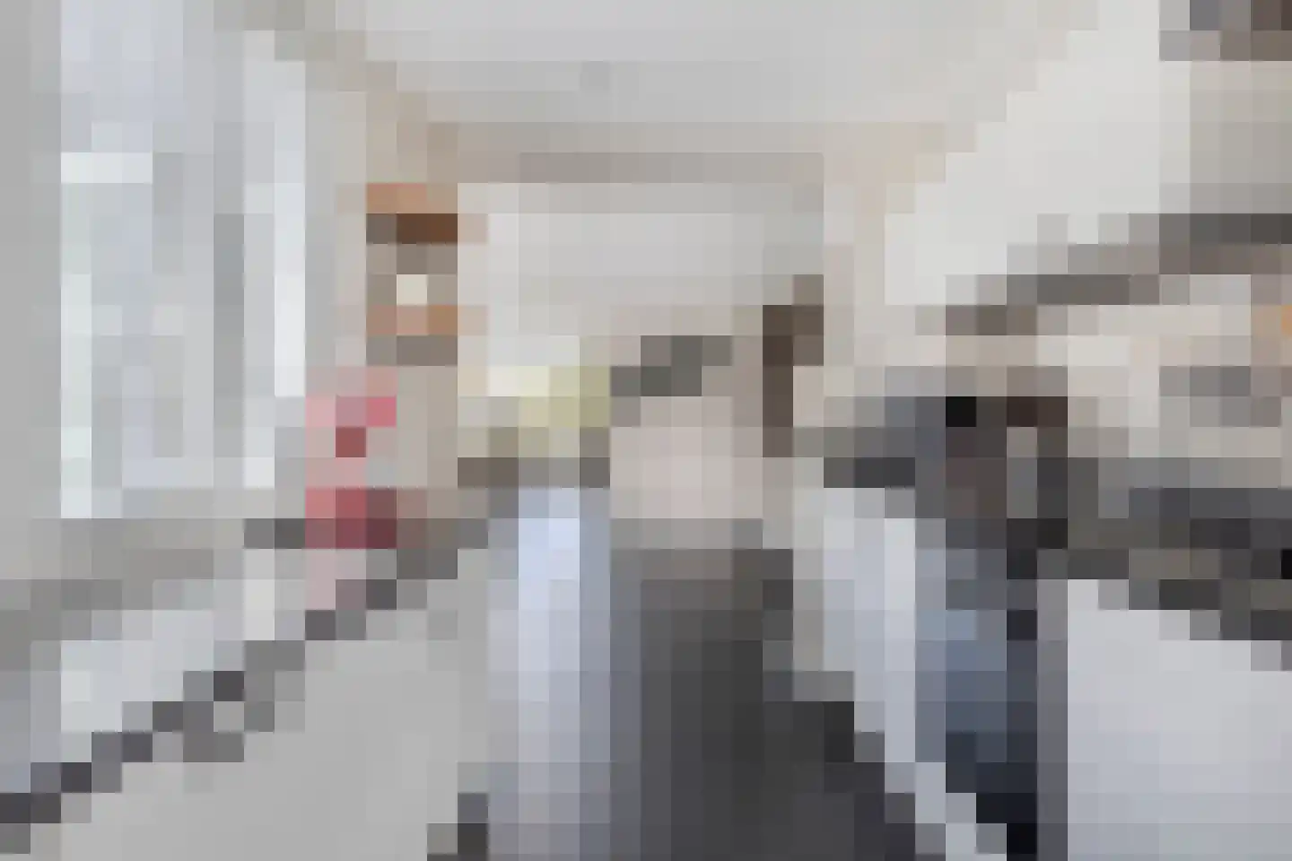 Zilverijzer 6 Volendam thumbnail 15