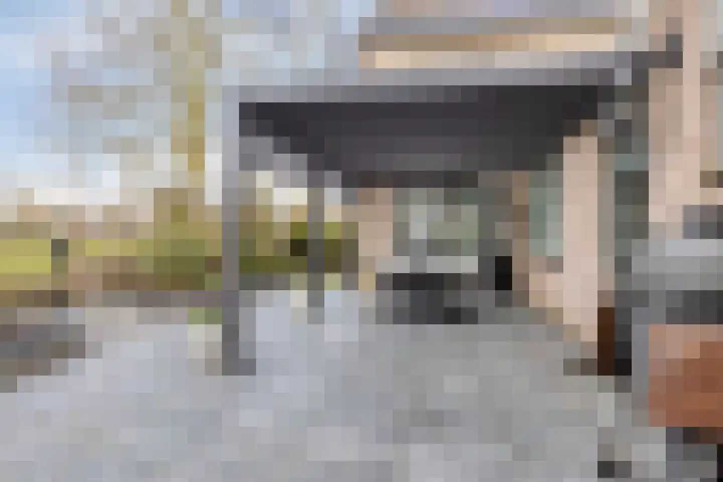 Zilverijzer 6 Volendam thumbnail 18