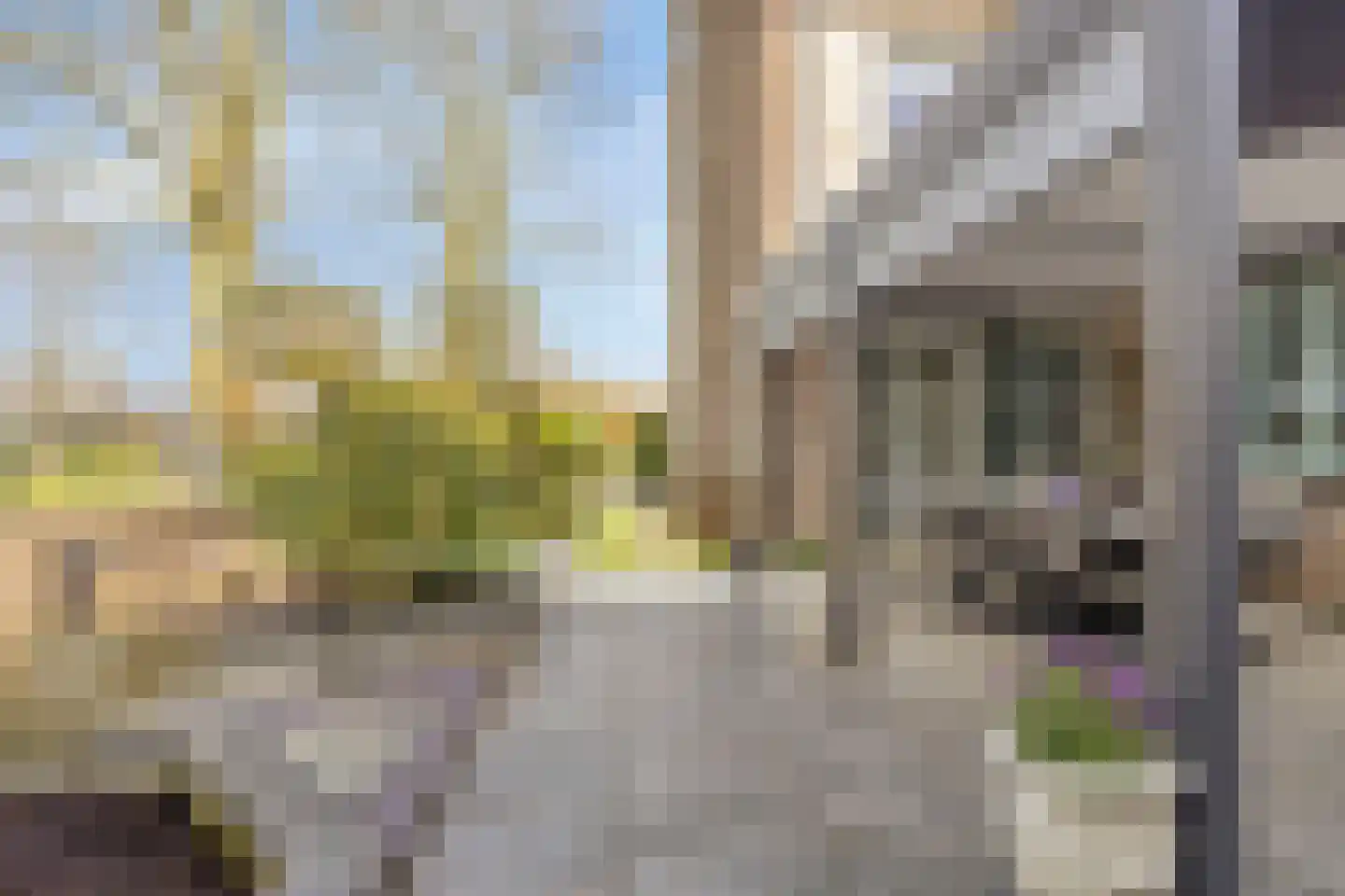 Zilverijzer 6 Volendam thumbnail 20