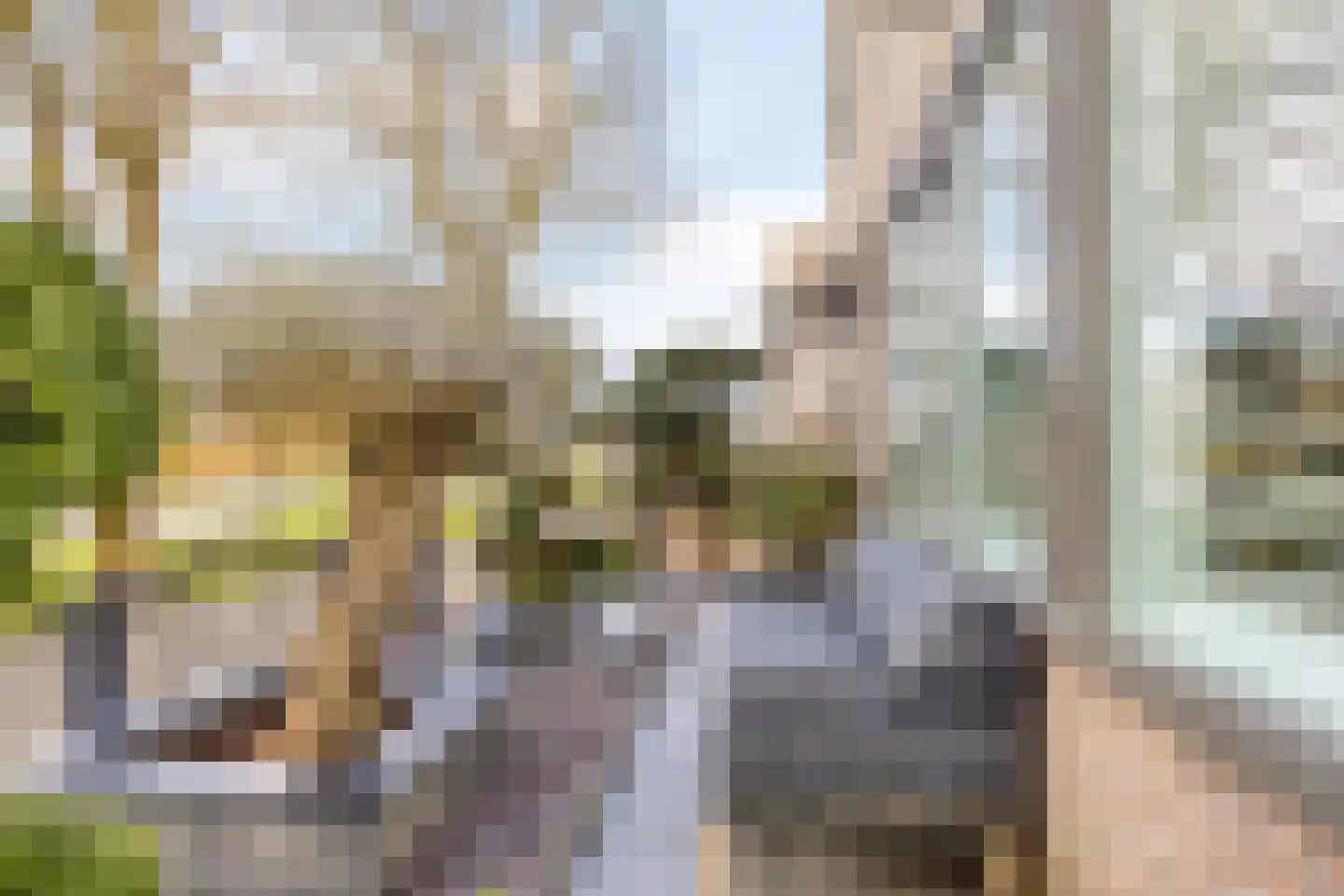 Zilverijzer 6 Volendam thumbnail 21