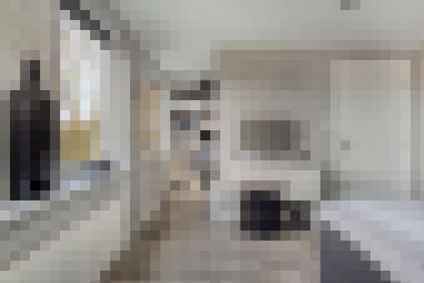 Zilverijzer 6 Volendam thumbnail 36