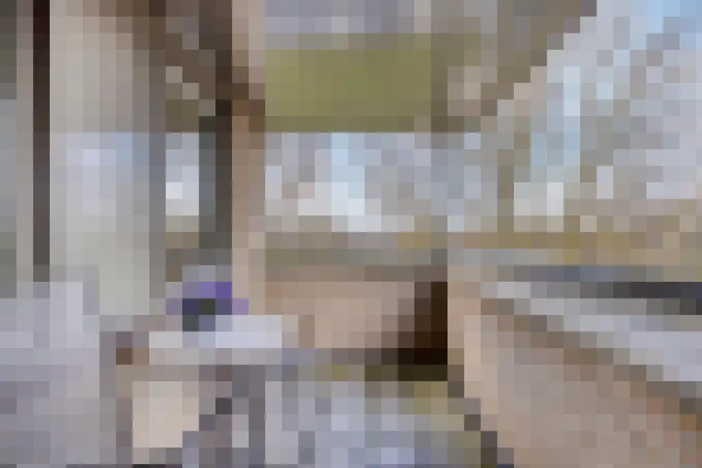 Zilverijzer 6 Volendam thumbnail 46