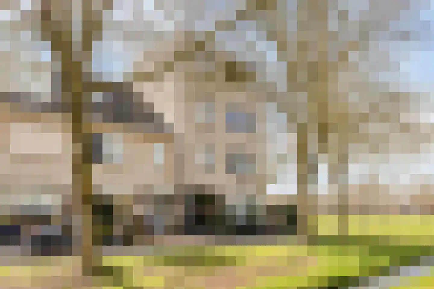 Zilverijzer 6 Volendam thumbnail 48