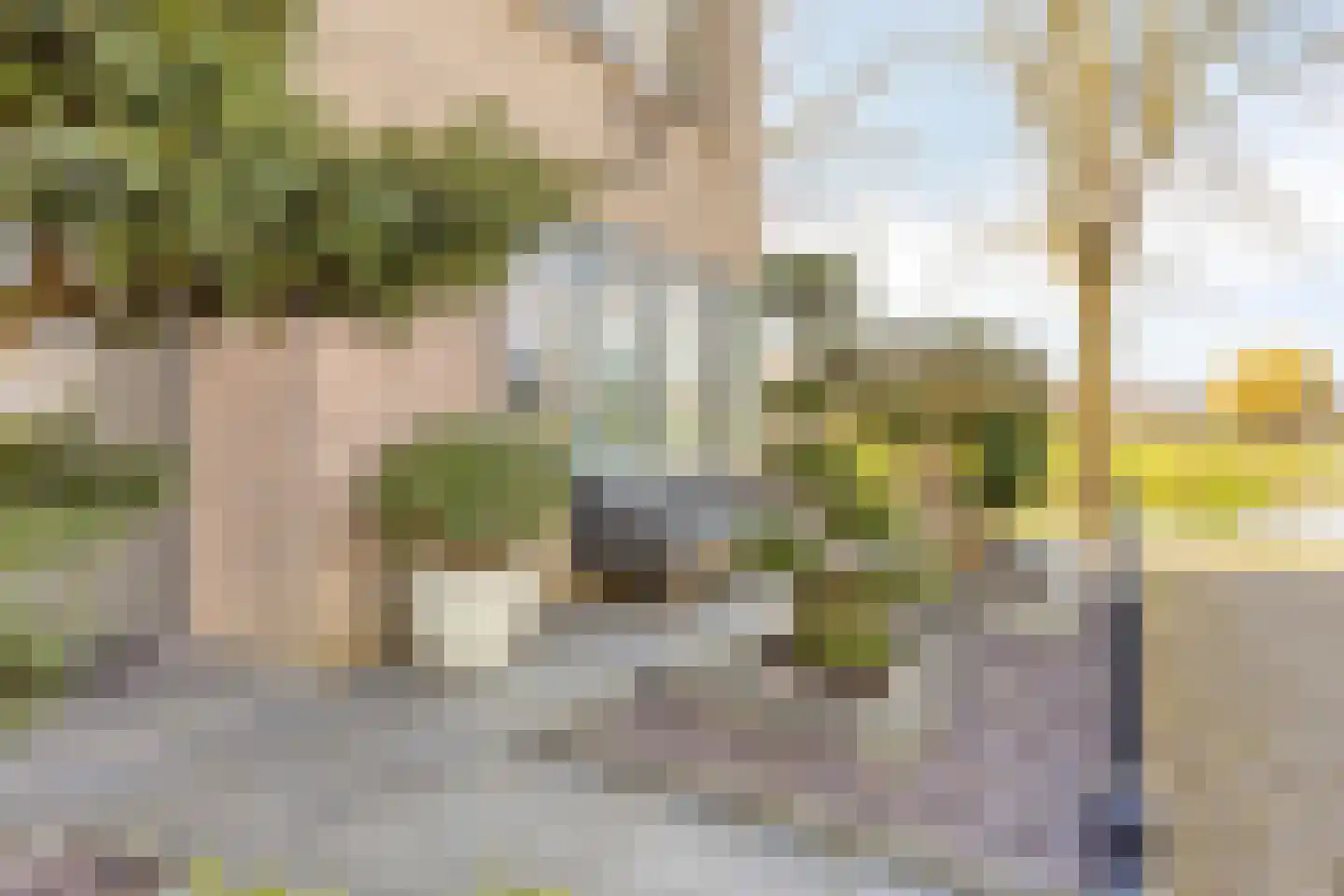 Zilverijzer 6 Volendam thumbnail 49