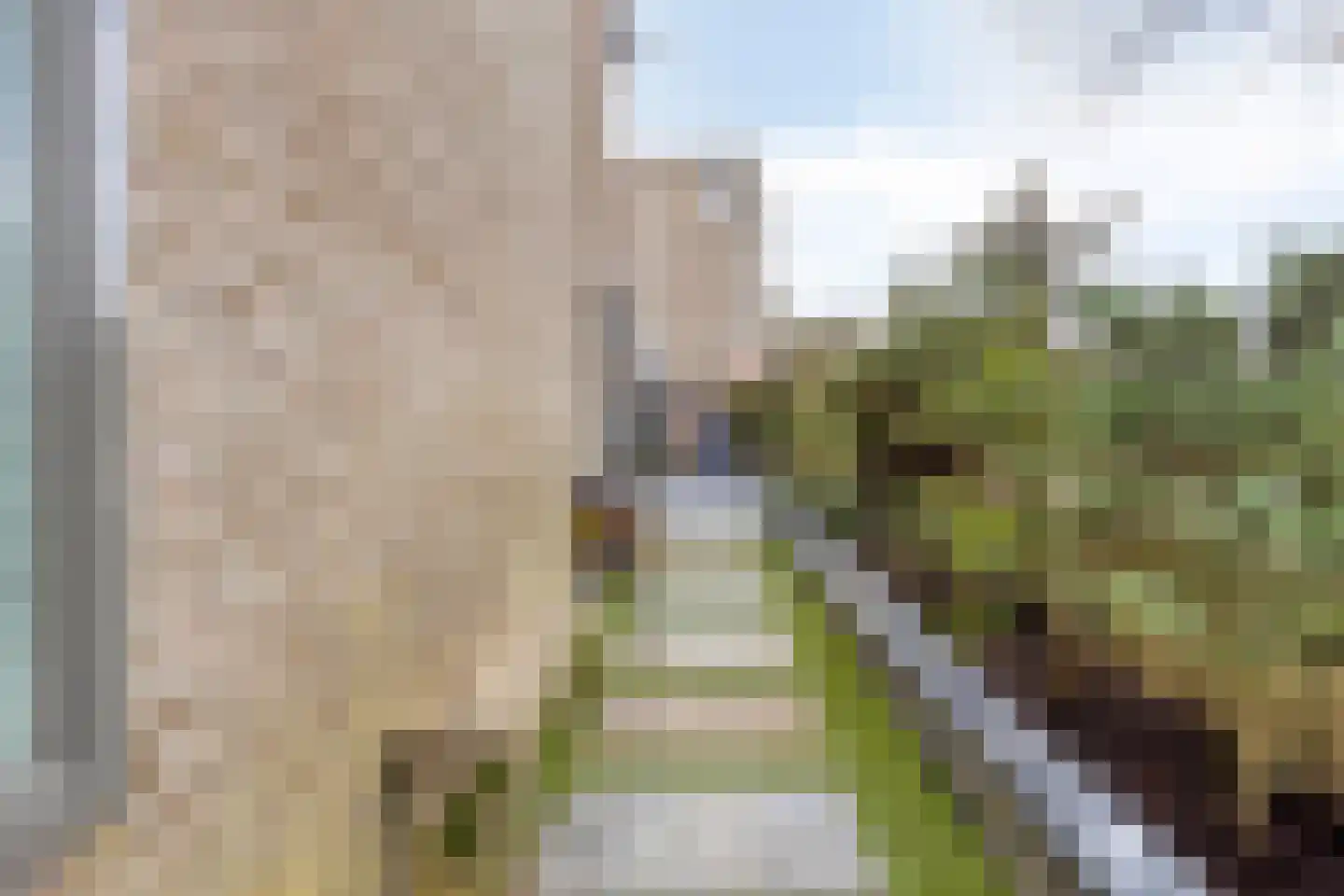 Zilverijzer 6 Volendam thumbnail 50