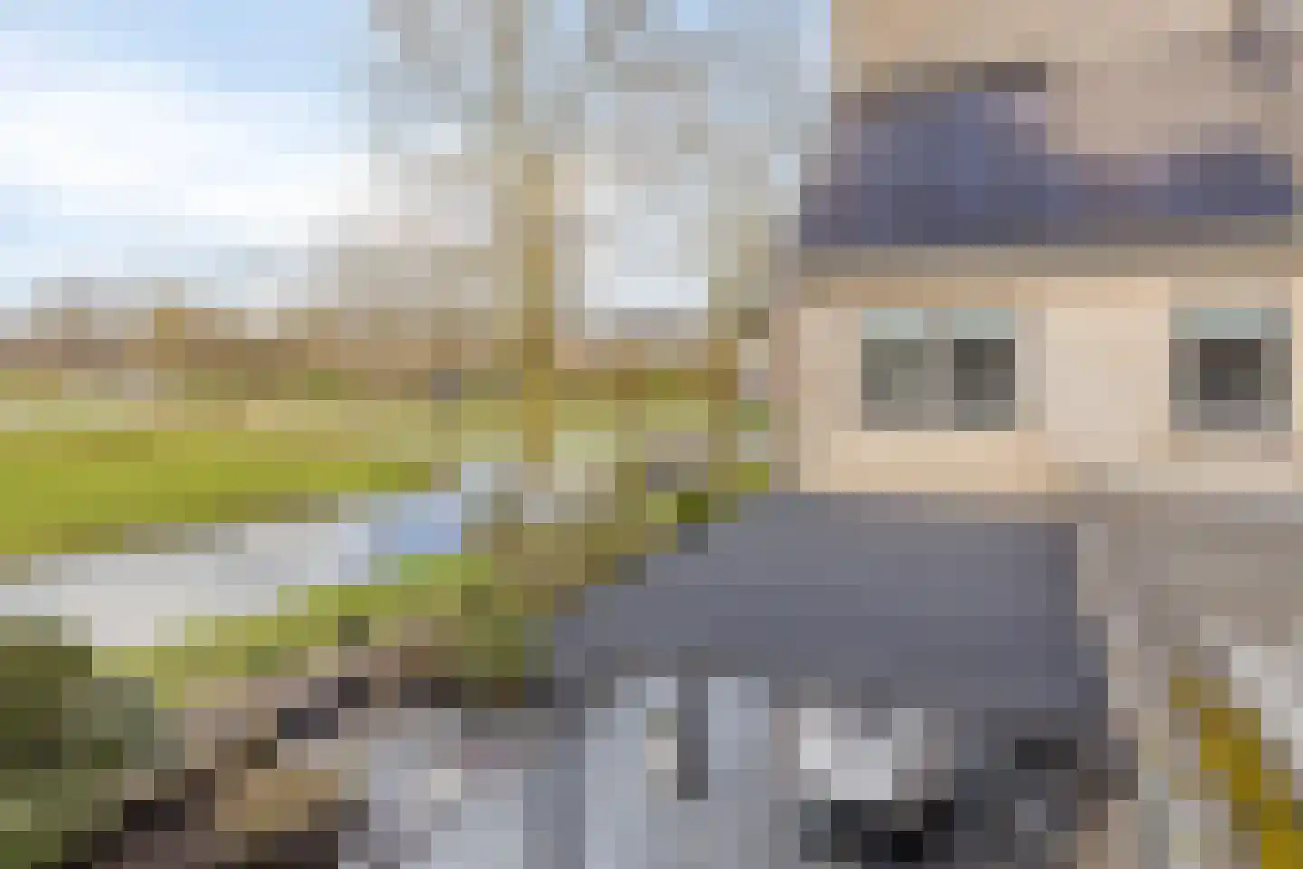 Zilverijzer 6 Volendam thumbnail 53