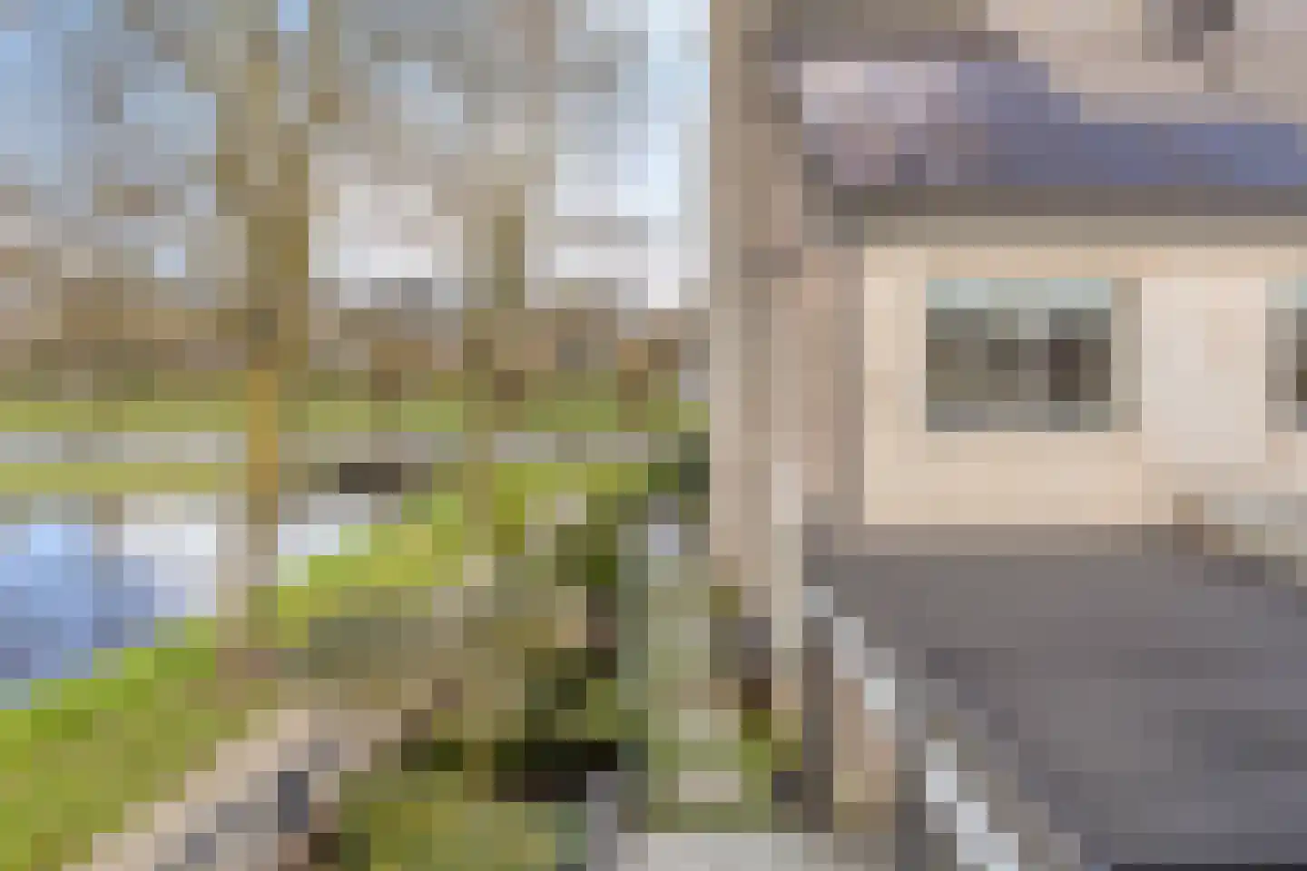 Zilverijzer 6 Volendam thumbnail 54