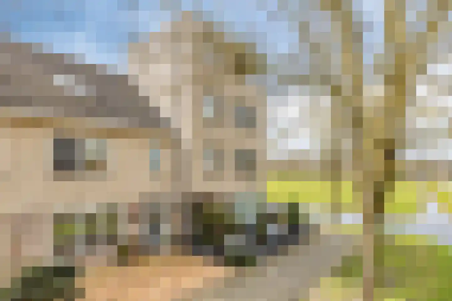 Zilverijzer 6 Volendam thumbnail 57