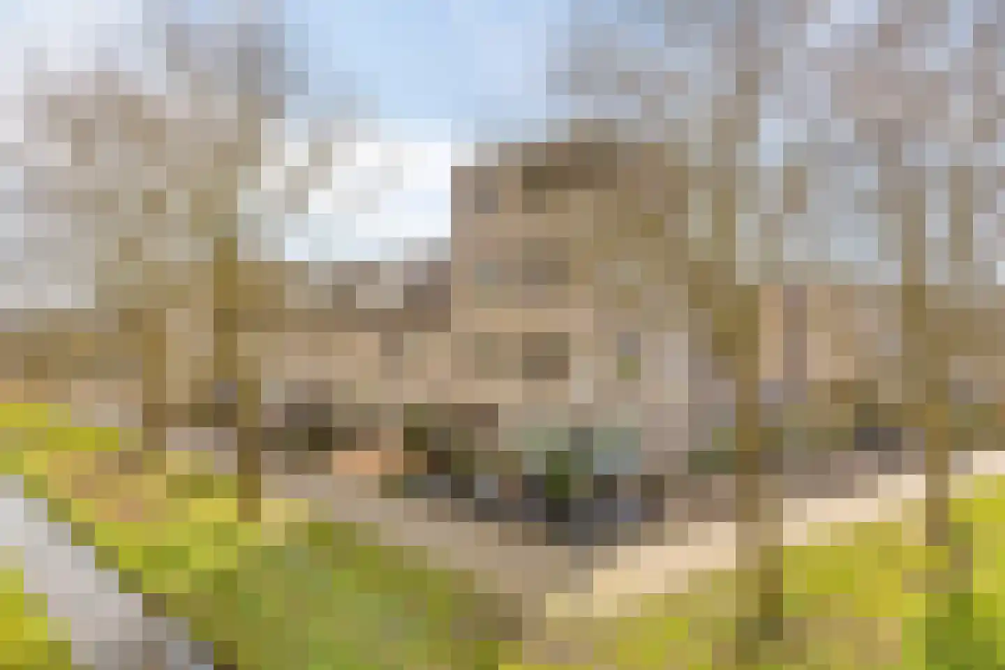 Zilverijzer 6 Volendam thumbnail 58