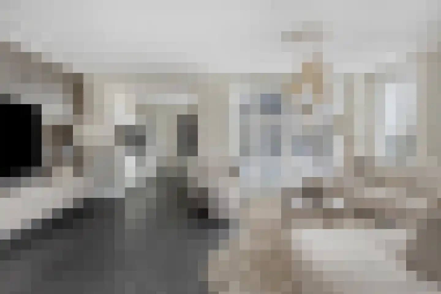 Zilverijzer 6 Volendam thumbnail 6
