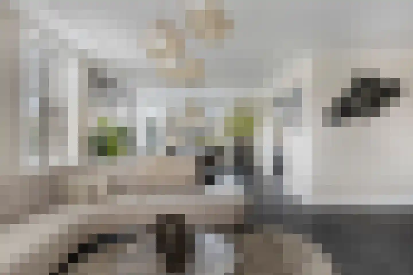 Zilverijzer 6 Volendam thumbnail 7