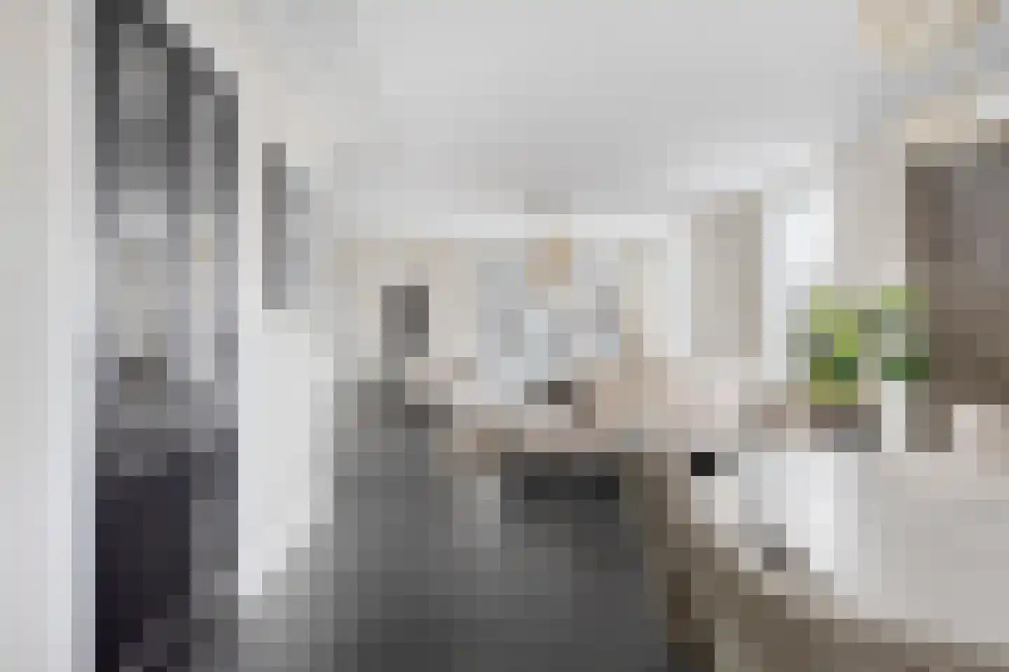 Zilverijzer 6 Volendam thumbnail 8
