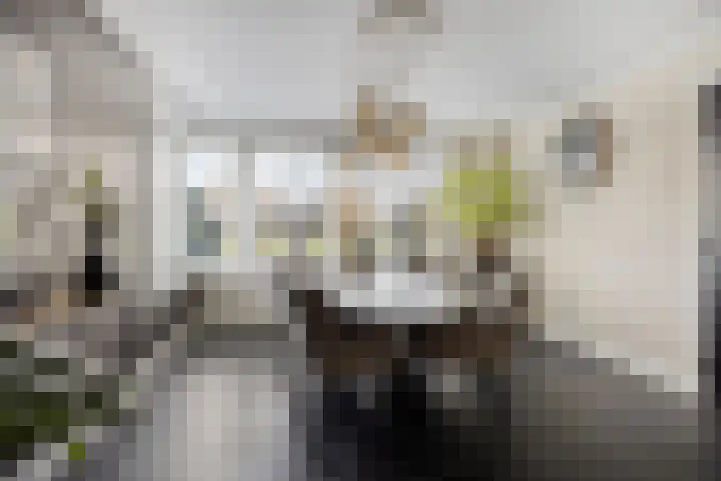 Zilverijzer 6 Volendam thumbnail 9