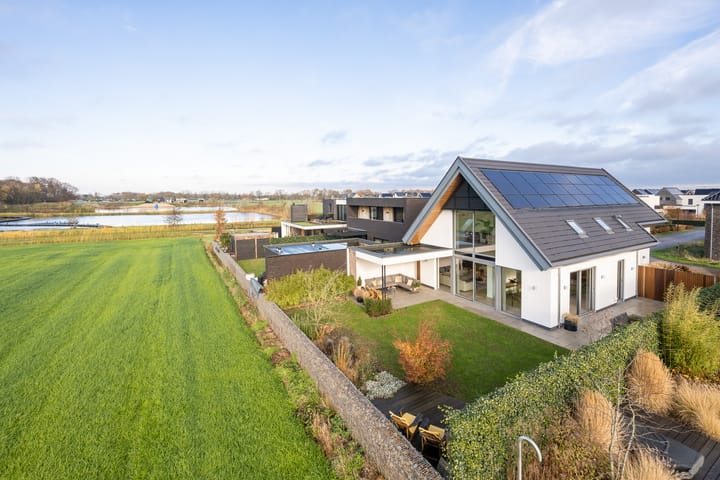 Zilverkarper 13 dans Vlijmen photo