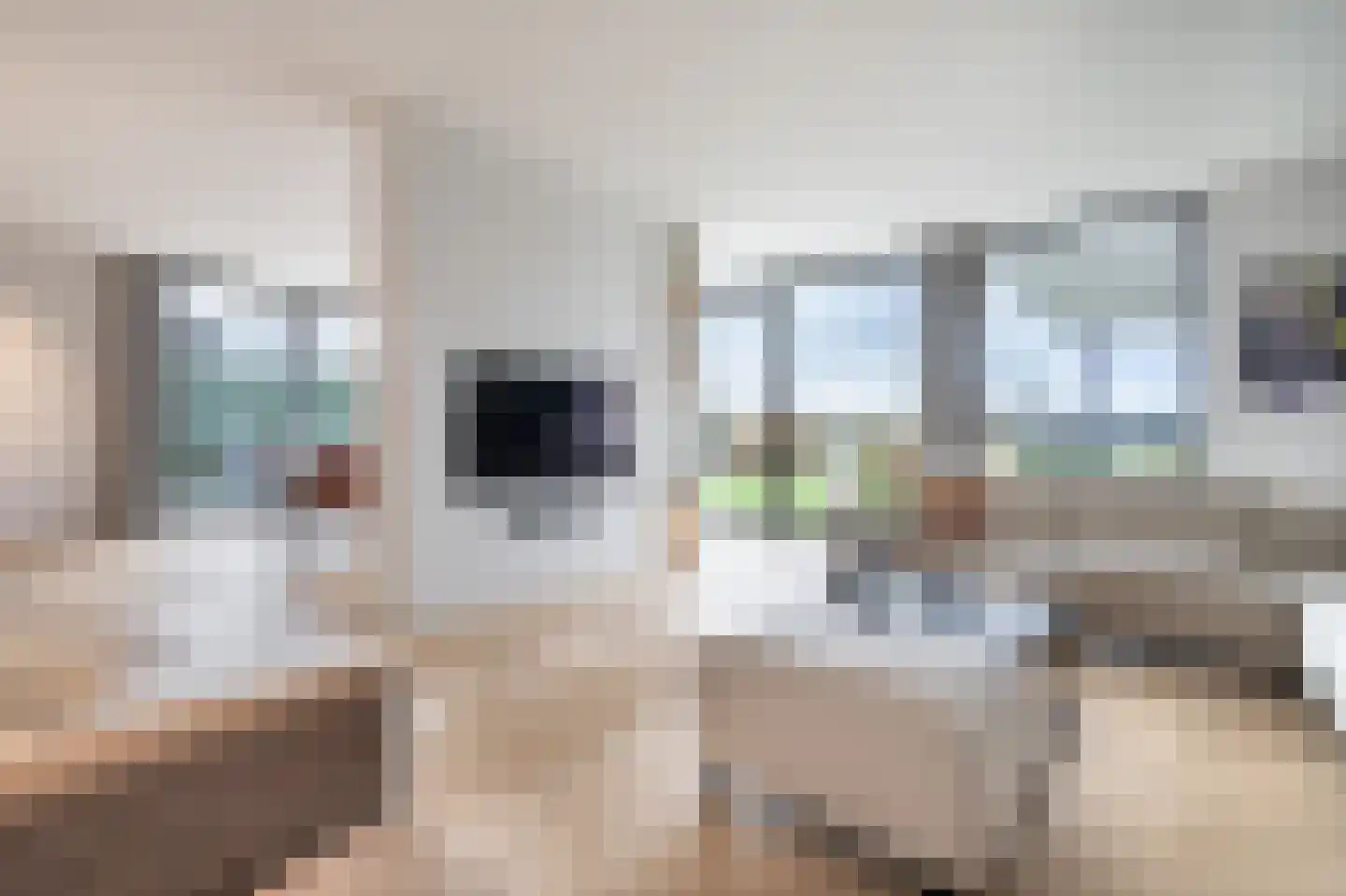 Zilverkarper 13 Vlijmen thumbnail 10