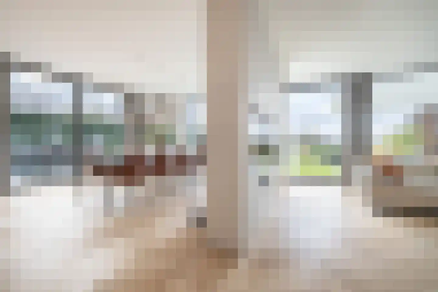 Zilverkarper 13 Vlijmen thumbnail 11