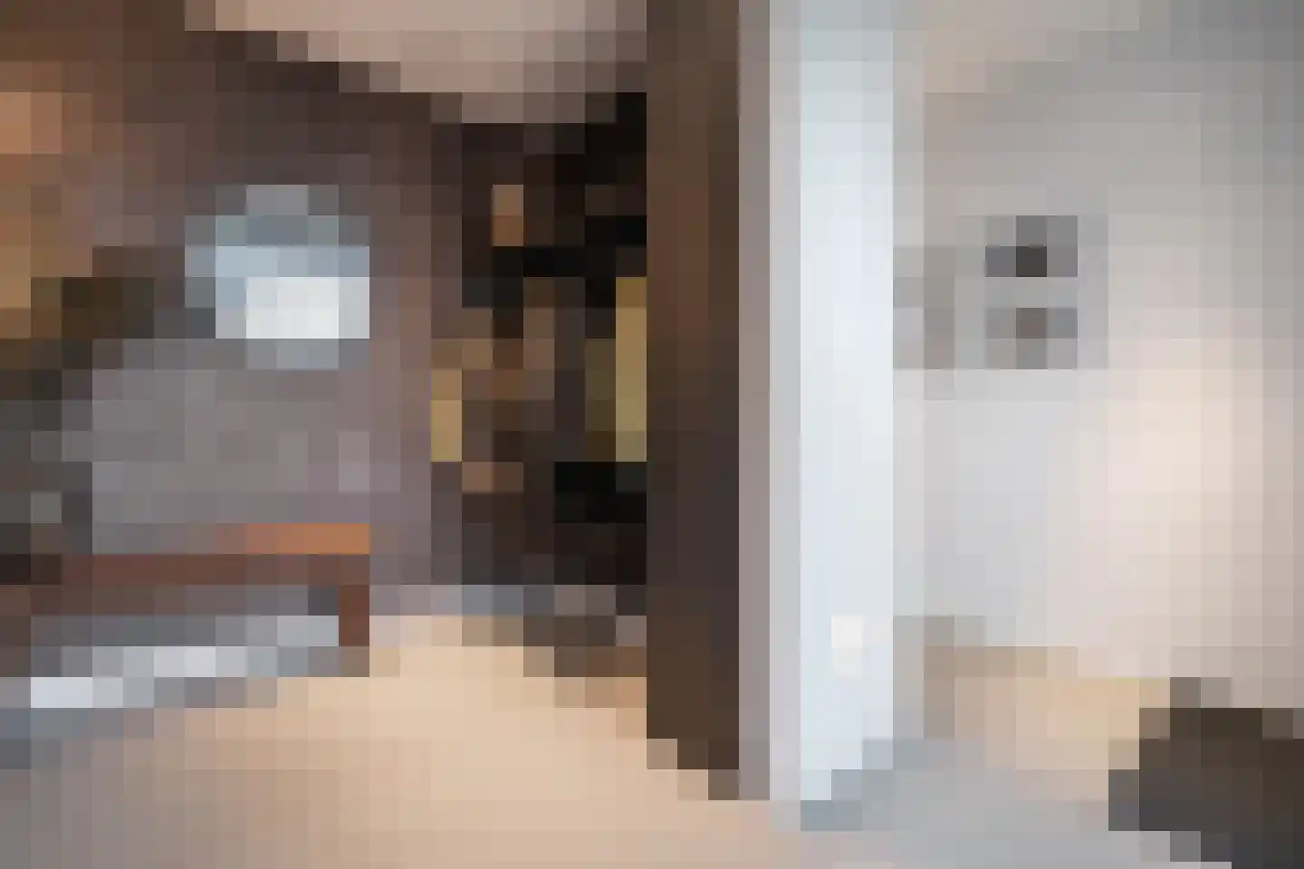 Zilverkarper 13 Vlijmen thumbnail 12