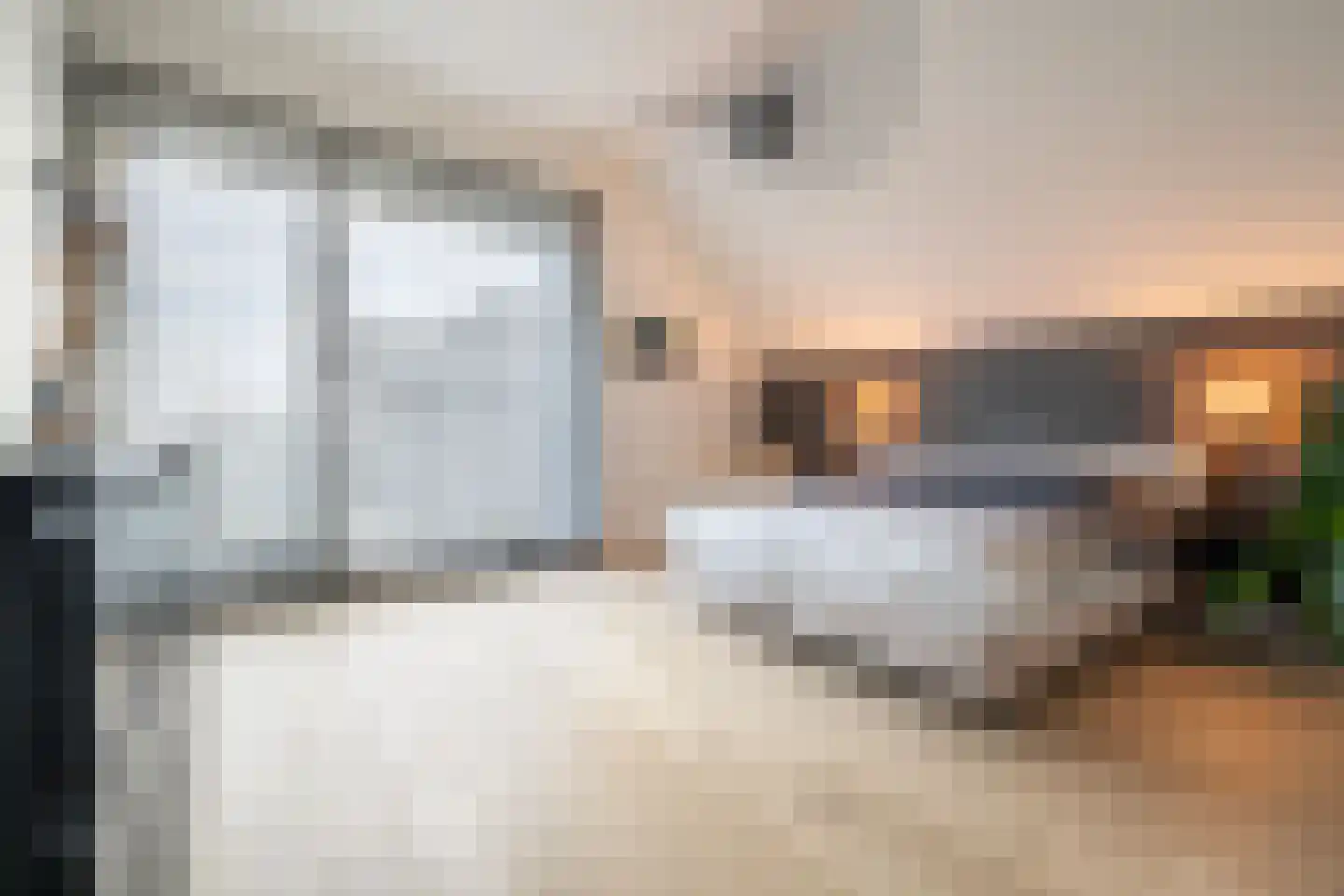 Zilverkarper 13 Vlijmen thumbnail 14