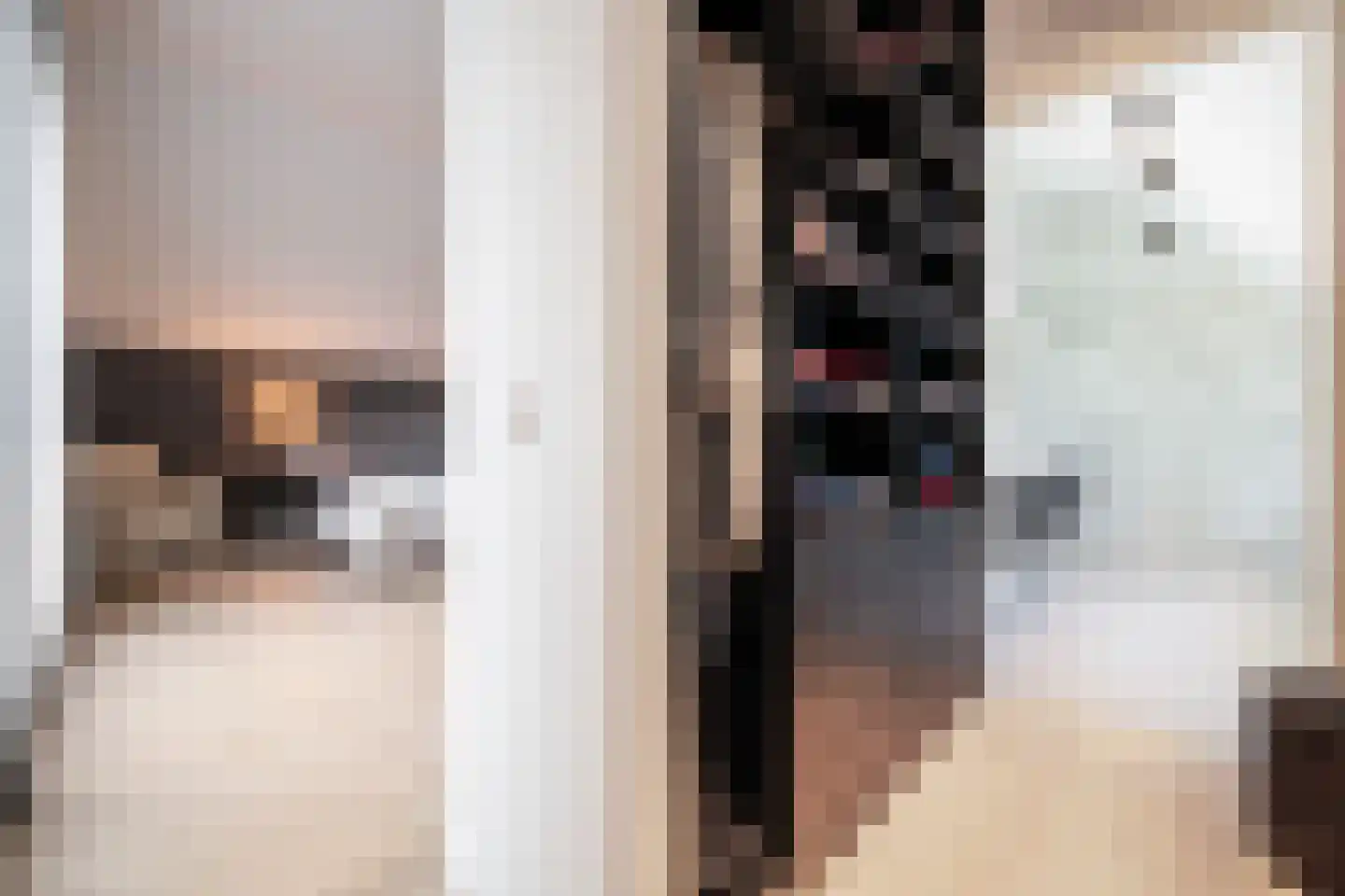 Zilverkarper 13 Vlijmen thumbnail 15