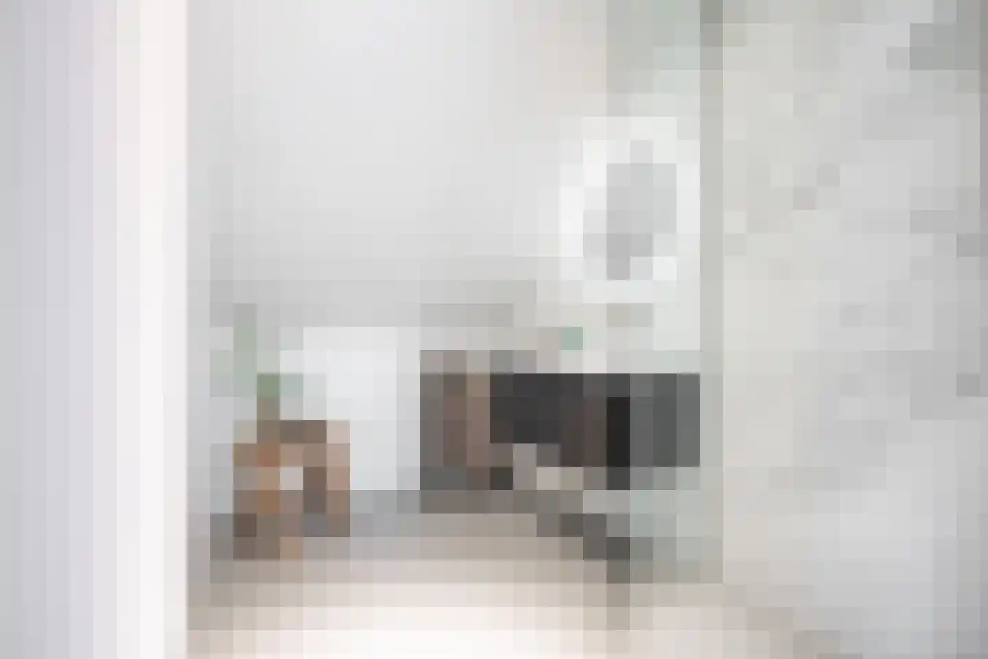 Zilverkarper 13 Vlijmen thumbnail 18