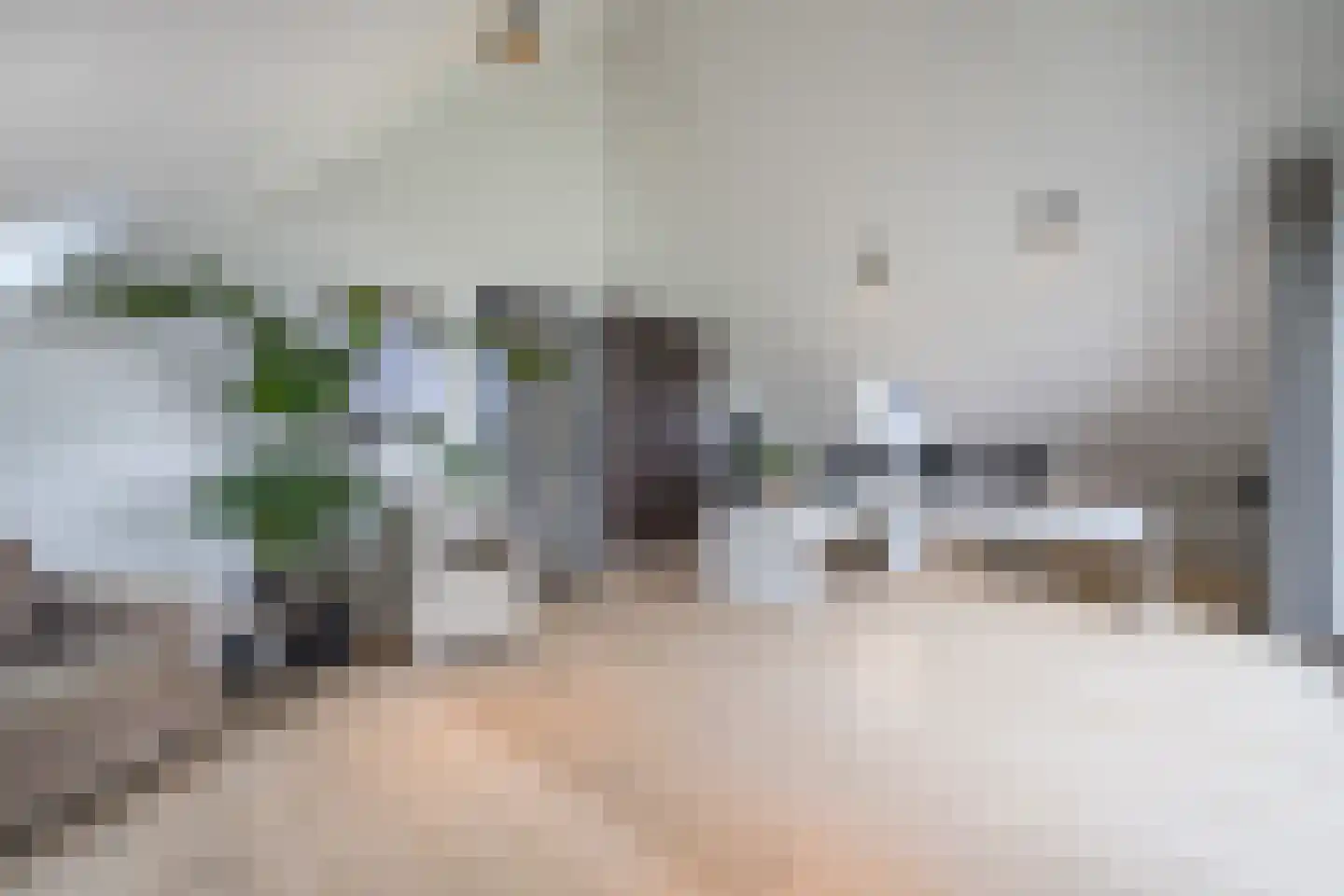 Zilverkarper 13 Vlijmen thumbnail 19