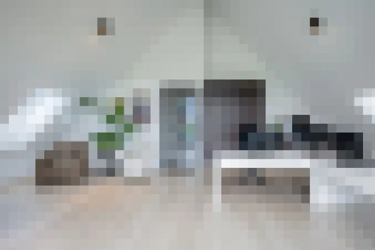 Zilverkarper 13 Vlijmen thumbnail 21